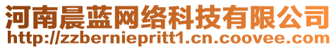 河南晨藍網絡科技有限公司