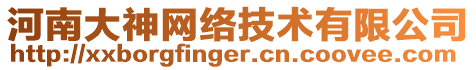 河南大神網(wǎng)絡(luò)技術(shù)有限公司