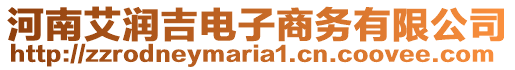 河南艾潤吉電子商務有限公司