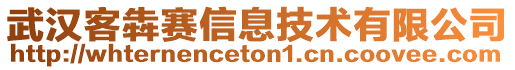 武漢客犇賽信息技術(shù)有限公司