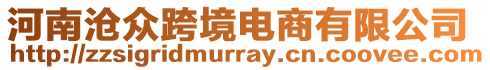 河南滄眾跨境電商有限公司