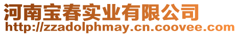 河南寶春實業有限公司