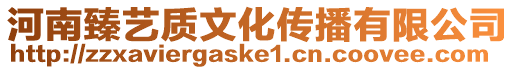 河南臻藝質文化傳播有限公司