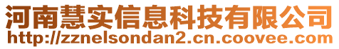 河南慧實信息科技有限公司