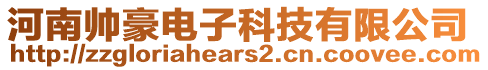 河南帥豪電子科技有限公司