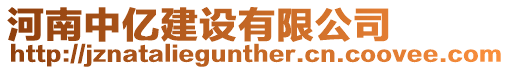 河南中億建設有限公司