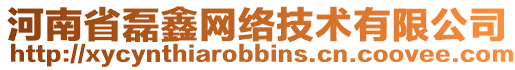 河南省磊鑫网络技术有限公司