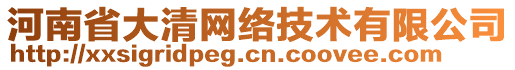 河南省大清网络技术有限公司