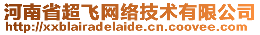 河南省超飛網(wǎng)絡(luò)技術(shù)有限公司