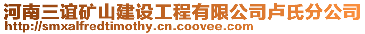 河南三誼礦山建設工程有限公司盧氏分公司