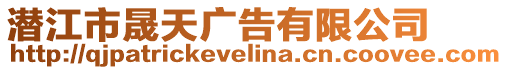 潛江市晟天廣告有限公司