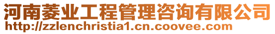 河南菱業(yè)工程管理咨詢有限公司