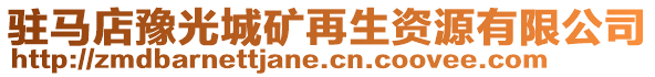駐馬店豫光城礦再生資源有限公司