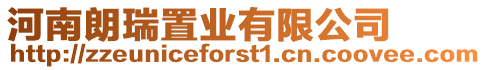 河南朗瑞置業有限公司