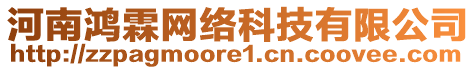 河南鴻霖網(wǎng)絡(luò)科技有限公司