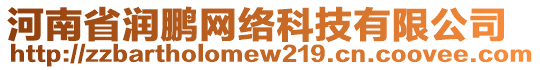 河南省潤鵬網(wǎng)絡(luò)科技有限公司