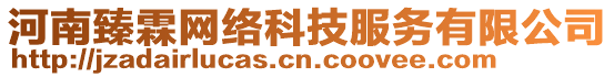 河南臻霖網(wǎng)絡(luò)科技服務(wù)有限公司