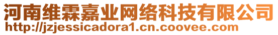 河南維霖嘉業(yè)網(wǎng)絡(luò)科技有限公司