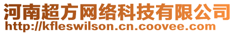 河南超方網(wǎng)絡(luò)科技有限公司