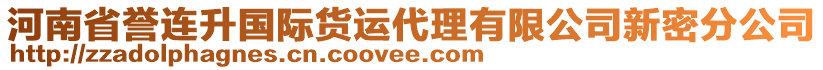 河南省譽(yù)連升國際貨運(yùn)代理有限公司新密分公司