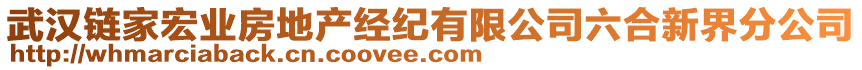 武漢鏈家宏業(yè)房地產經紀有限公司六合新界分公司