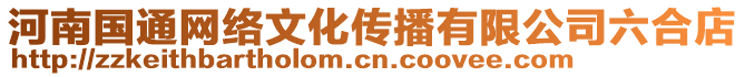 河南國(guó)通網(wǎng)絡(luò)文化傳播有限公司六合店