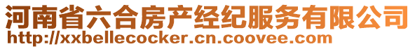 河南省六合房產(chǎn)經(jīng)紀(jì)服務(wù)有限公司