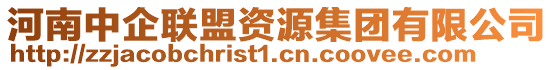 河南中企聯(lián)盟資源集團(tuán)有限公司