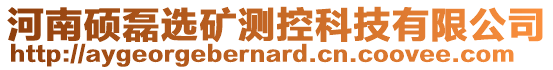 河南碩磊選礦測控科技有限公司