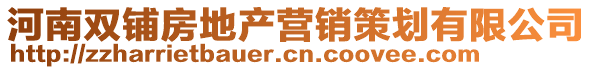河南雙鋪房地產(chǎn)營銷策劃有限公司