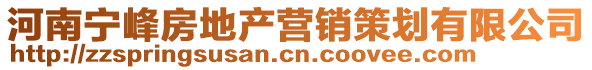 河南宁峰房地产营销策划有限公司