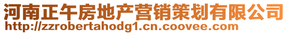 河南正午房地產營銷策劃有限公司