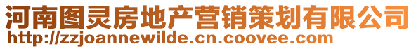 河南圖靈房地產(chǎn)營銷策劃有限公司