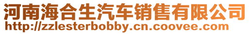 河南海合生汽車銷售有限公司