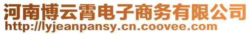 河南博云霄電子商務(wù)有限公司