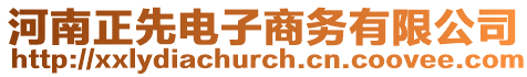 河南正先電子商務有限公司