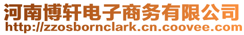 河南博軒電子商務有限公司