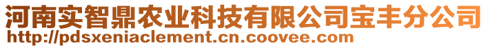 河南實智鼎農(nóng)業(yè)科技有限公司寶豐分公司