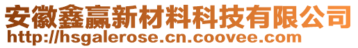 安徽鑫贏新材料科技有限公司