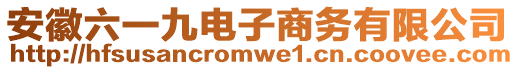 安徽六一九電子商務(wù)有限公司