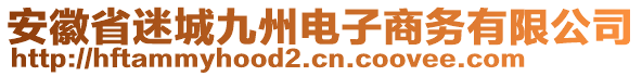 安徽省迷城九州電子商務(wù)有限公司