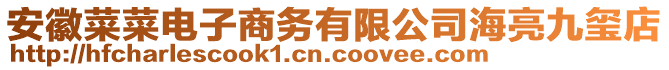 安徽菜菜電子商務有限公司海亮九璽店