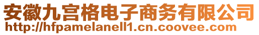 安徽九宮格電子商務有限公司