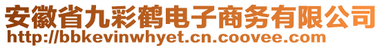 安徽省九彩鶴電子商務(wù)有限公司