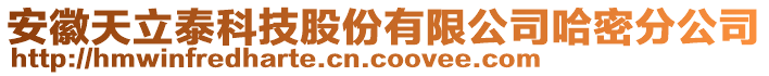 安徽天立泰科技股份有限公司哈密分公司