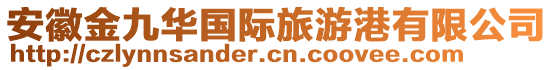 安徽金九華國際旅游港有限公司