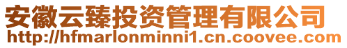 安徽云臻投資管理有限公司