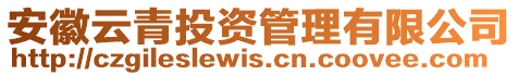 安徽云青投資管理有限公司