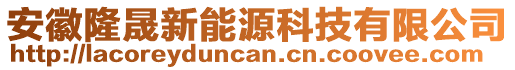 安徽隆晟新能源科技有限公司