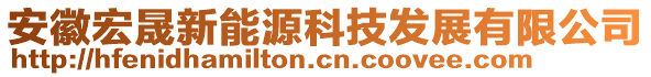 安徽宏晟新能源科技發(fā)展有限公司